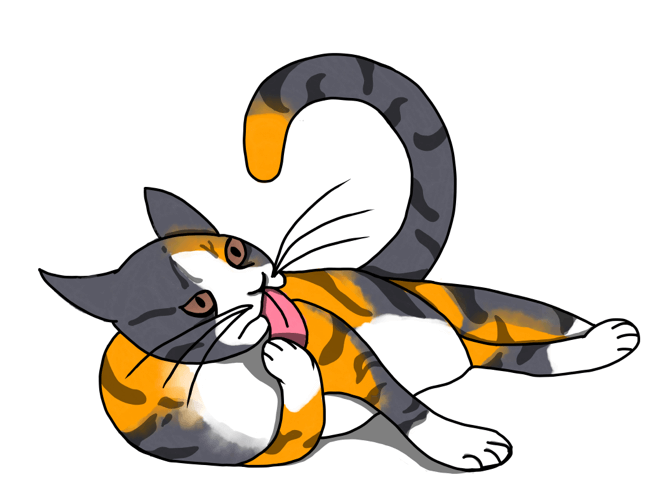 Is Fish Oil Good for Cats? IAMS™